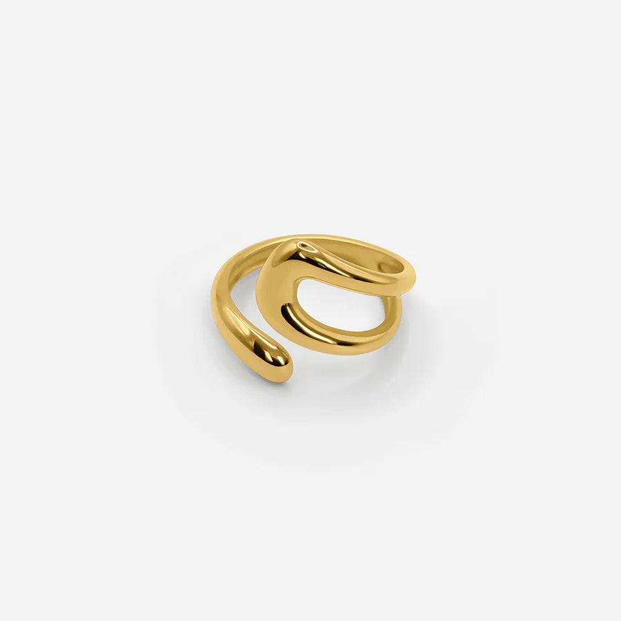 Rialou™: SCULPTURAL RING - GOLD/SILVER